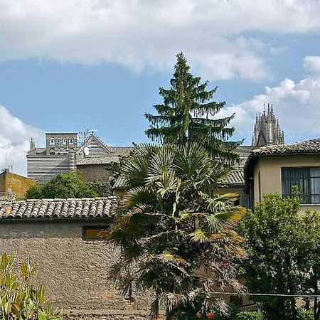 Il Gelsomino Di Isia Orvieto Exterior foto