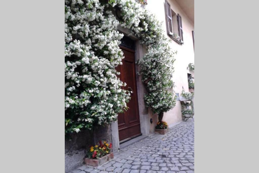 Il Gelsomino Di Isia Orvieto Exterior foto