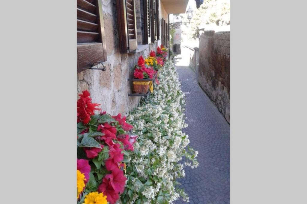 Il Gelsomino Di Isia Orvieto Exterior foto