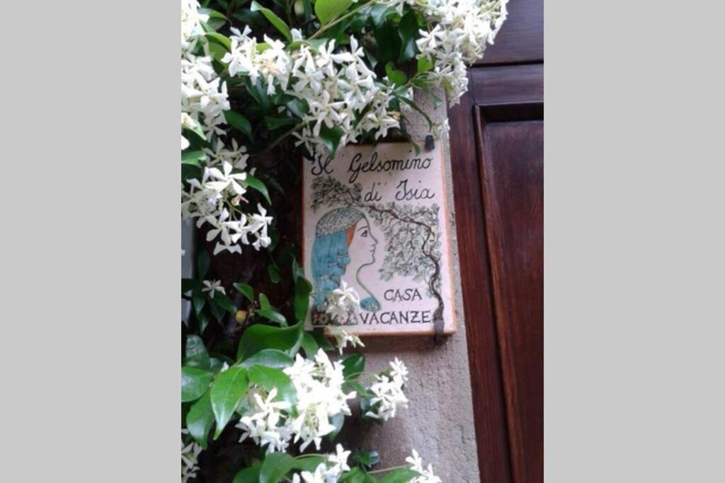 Il Gelsomino Di Isia Orvieto Exterior foto