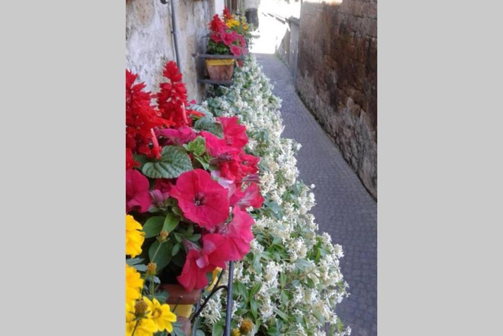 Il Gelsomino Di Isia Orvieto Exterior foto